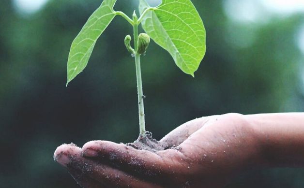 Lead Nurturing: Fostering Lead Generation For Your Business