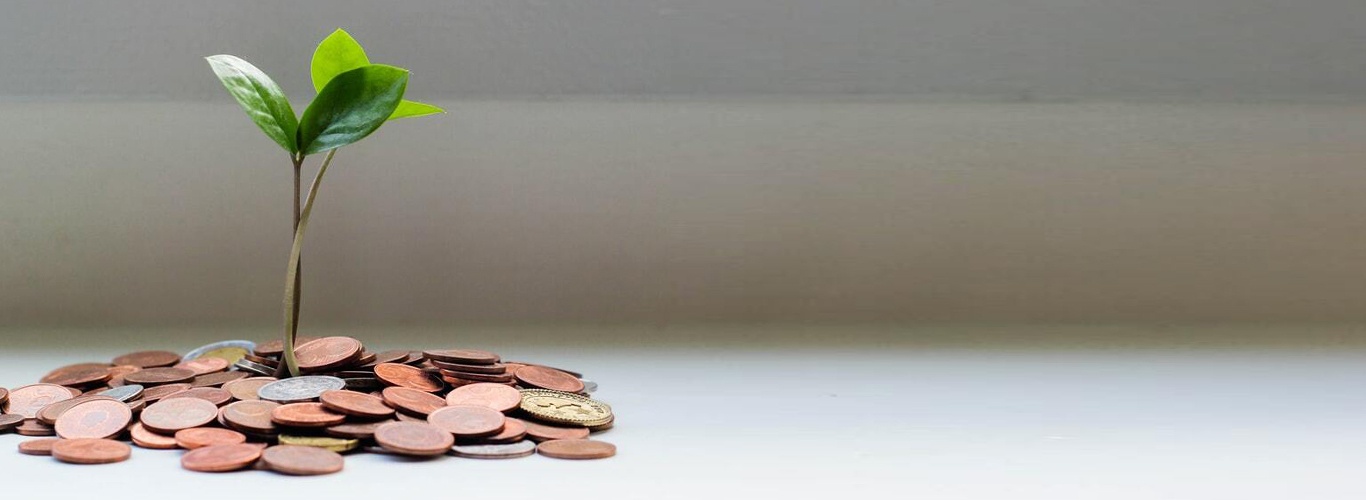 upselling and cross selling_revenue growth