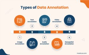 Why Data Annotation is Important for Businesses?